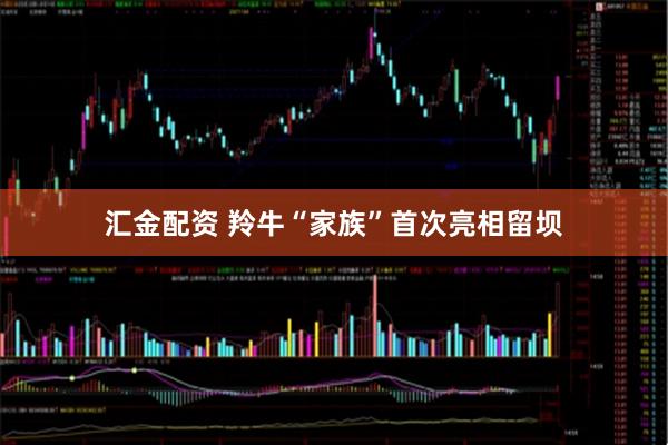 汇金配资 羚牛“家族”首次亮相留坝