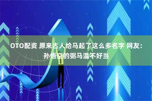 OTO配资 原来古人给马起了这么多名字 网友：孙悟空的弼马温不好当